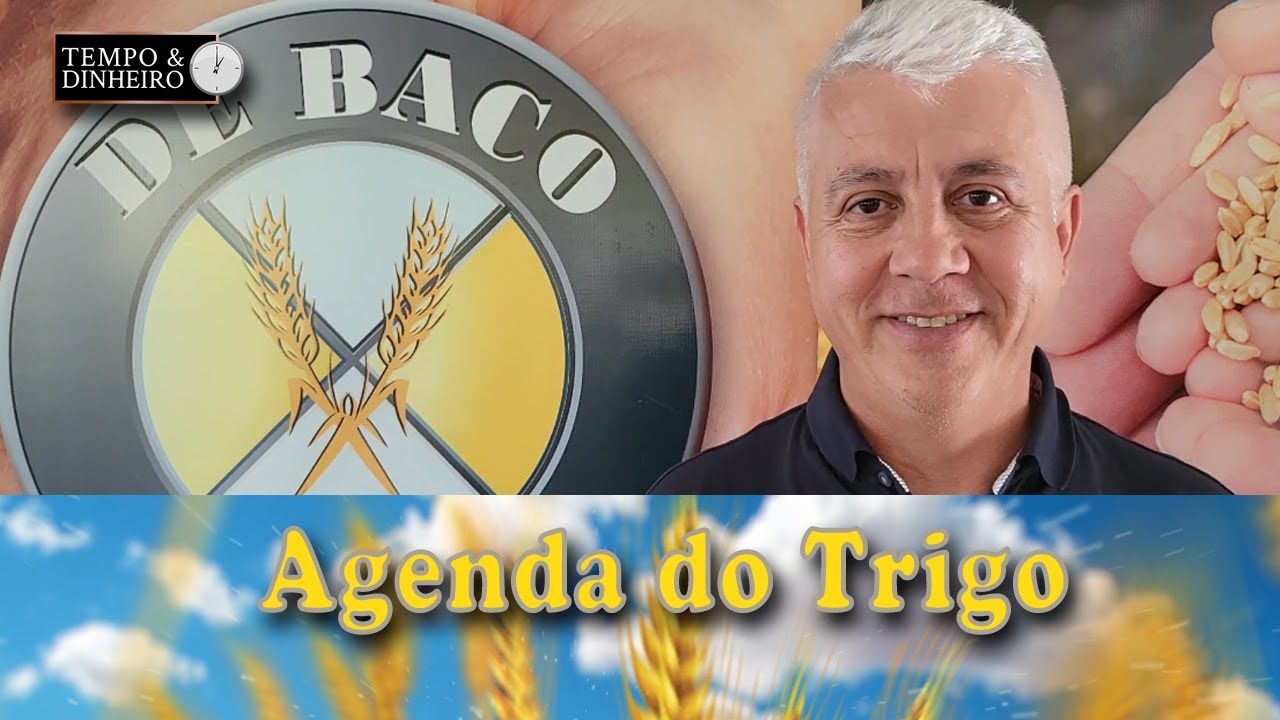 a alta competitividade da oferta russa de trigo esclarece a situacao dos