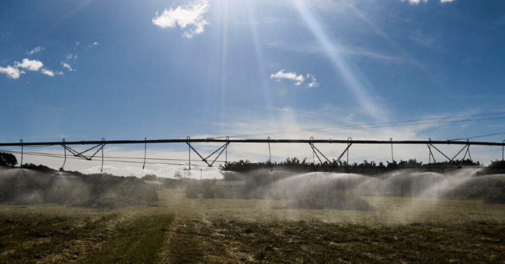 apesar do clima agropecuaria manteve alto rendimento em 2022 portal dbo