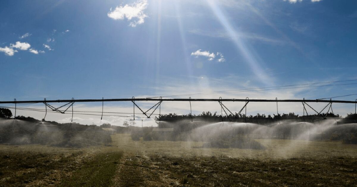 apesar do clima agropecuaria manteve alto rendimento em 2022 portal dbo