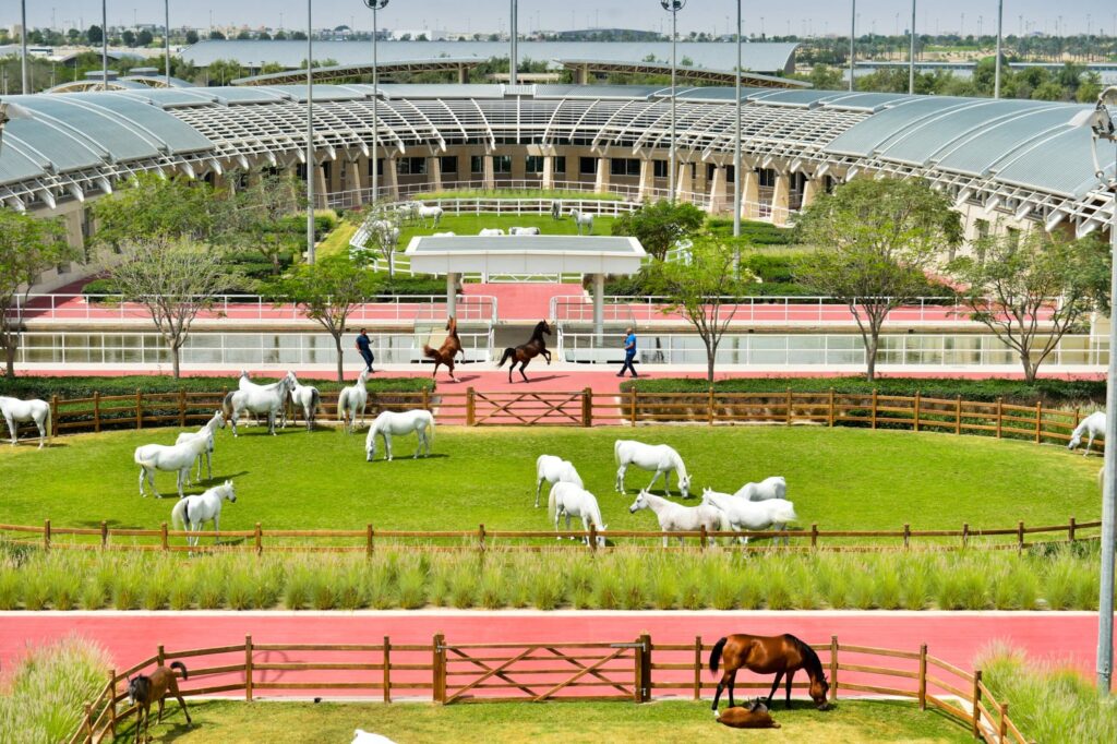 bilionario al shaqab e o maior e mais luxuoso centro equestre do mundo