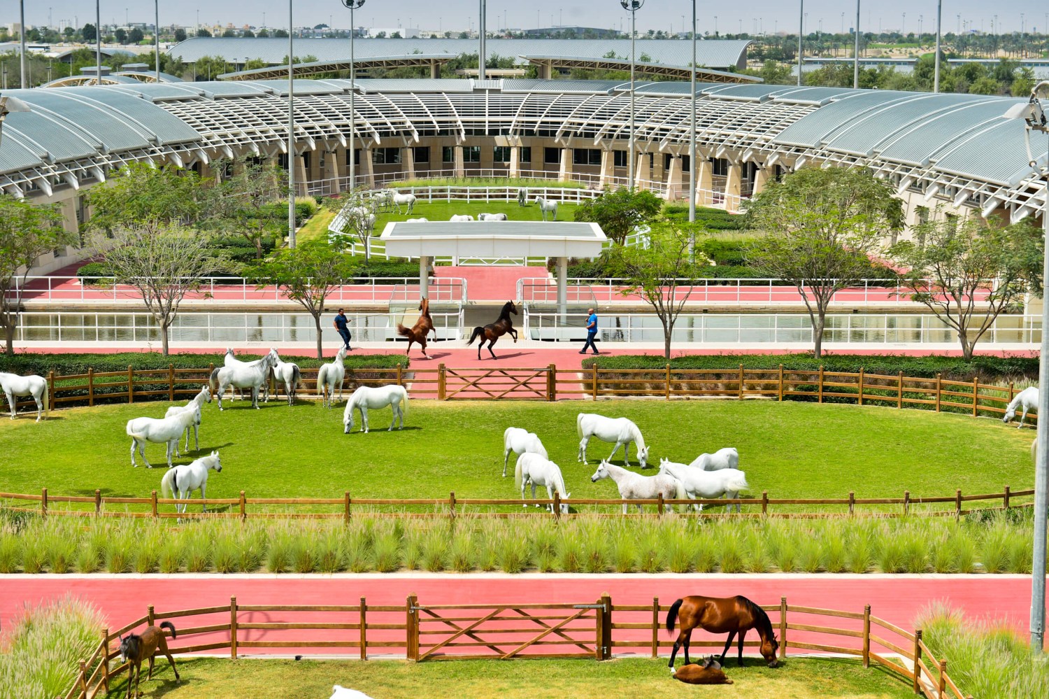 bilionario al shaqab e o maior e mais luxuoso centro equestre do mundo