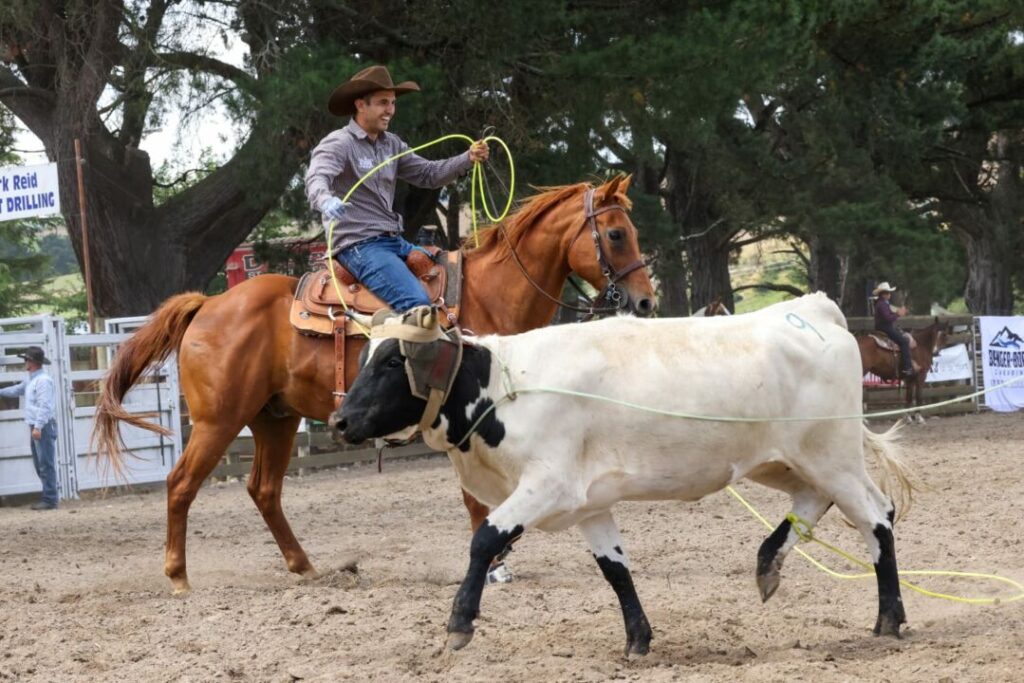Brasileiro começa a laçar na Nova Zelândia e ganha prova 2 Brasileiro começa a laçar na Nova Zelândia e ganha prova
