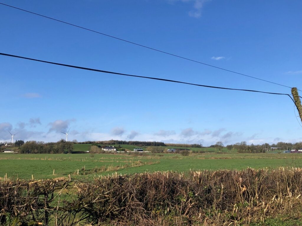 cafre to host hedge laying courses at greenmount 1