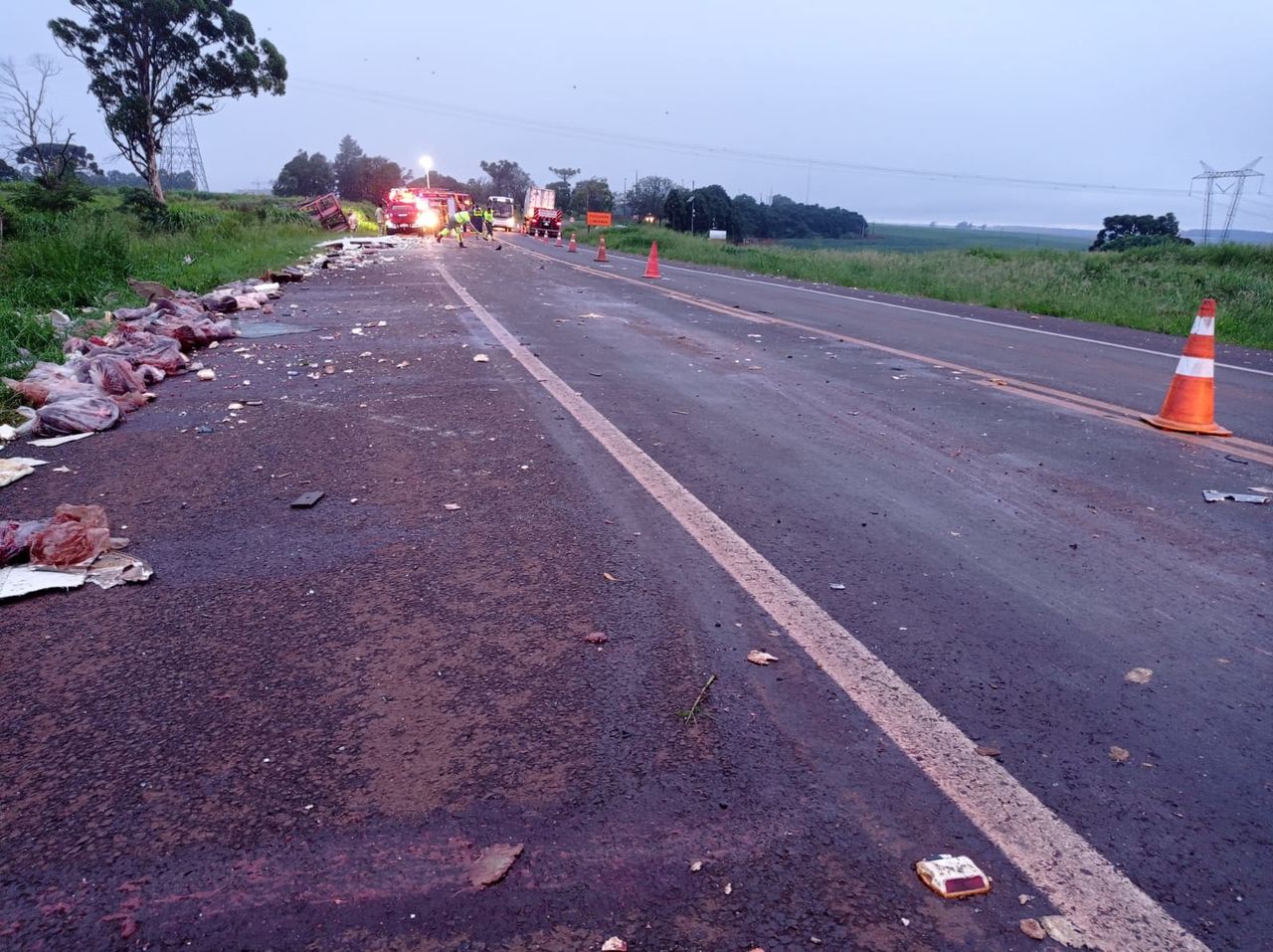 carga de miudos bovinos fica espalhada em rodovia apos acidente no pr