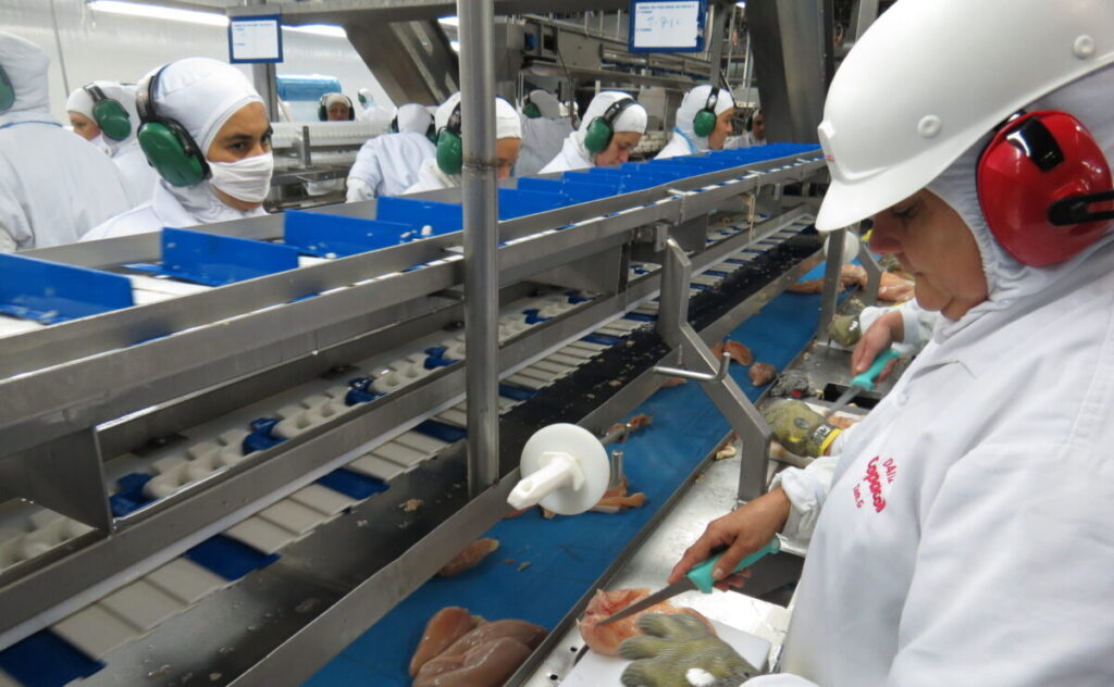 Frigoríficos de carne sofrem com a crise do gado