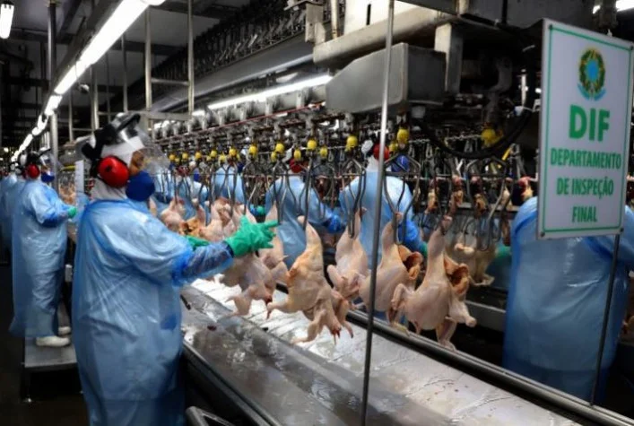 Com alta de 31,7%, carne de frango in natura foi o produto mais exportados pelo Paraná em 2022 2 com alta de 317 carne de frango in natura foi o produto mais exportados pelo parana em 2022