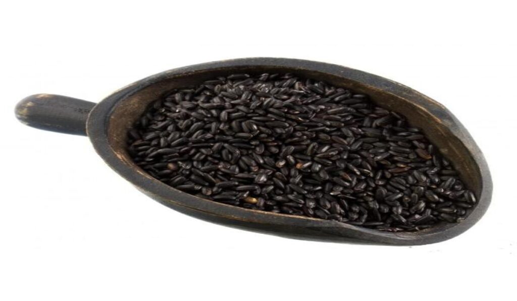 Conheça o trigo preto e os benefícios para a saúde 11 Conheça o trigo preto e os benefícios para a saúde