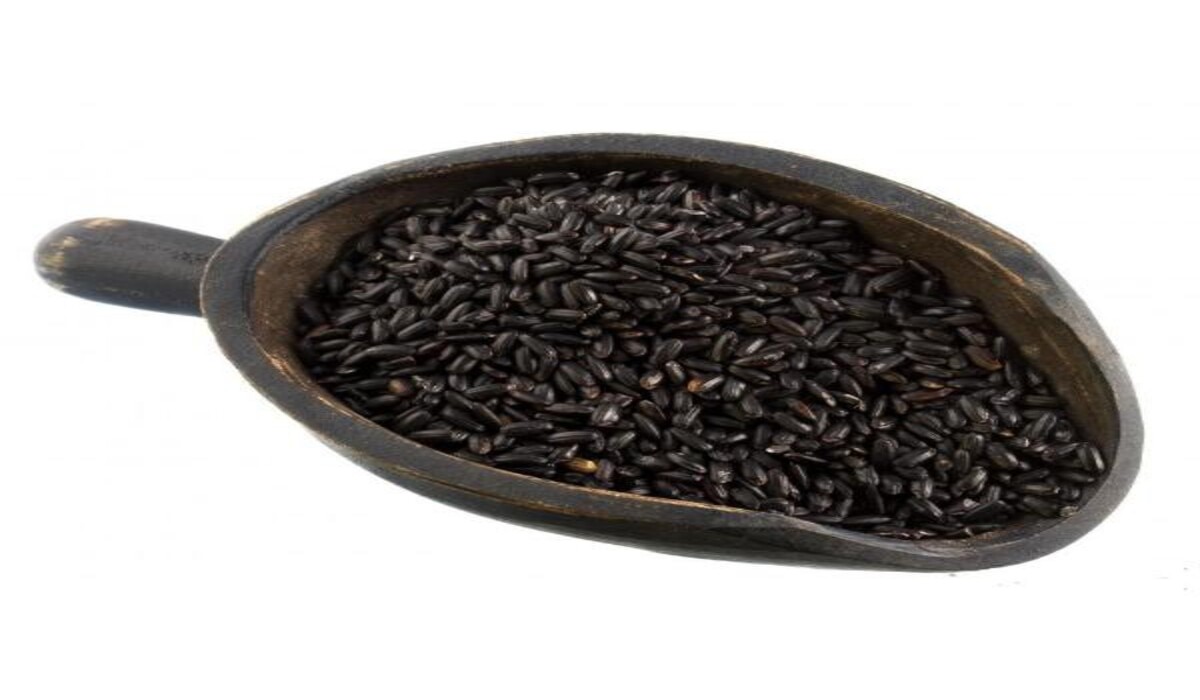 Conheça o trigo preto e os benefícios para a saúde