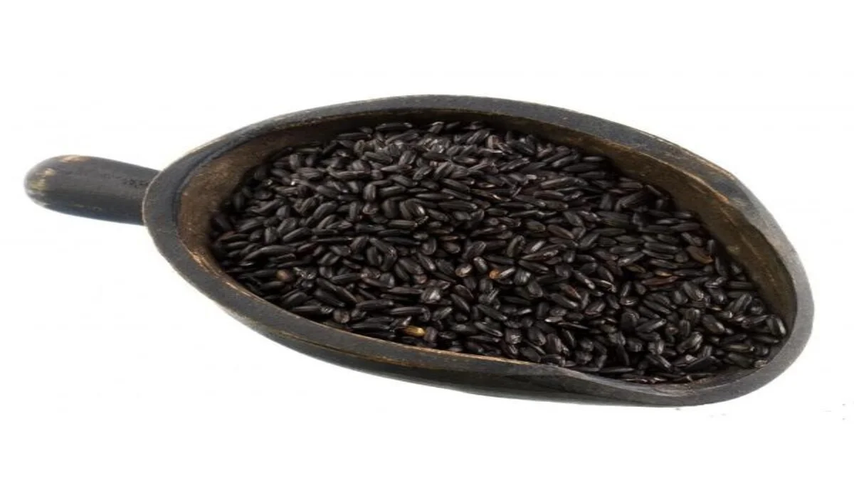 Conheça o trigo preto e os benefícios para a saúde 3 Conheça o trigo preto e os benefícios para a saúde