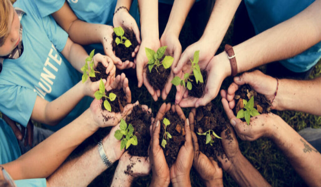 Conheça programa de hortas comunitárias nas escolas 2 Conheça programa de hortas comunitárias nas escolas