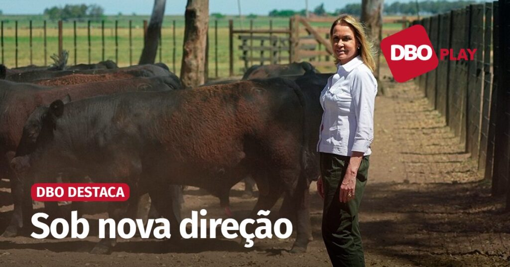 dbo destaca sustentabilidade esta entre as prioridades da primeira mulher a presidir a angus portal dbo