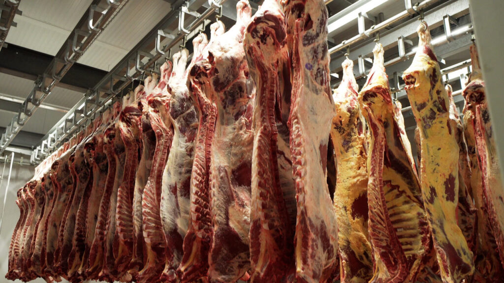 e claro que tem problema mas as coisas devem ser discutidas e enfrentadas diz ortigara sobre pecuaria bovina no pr