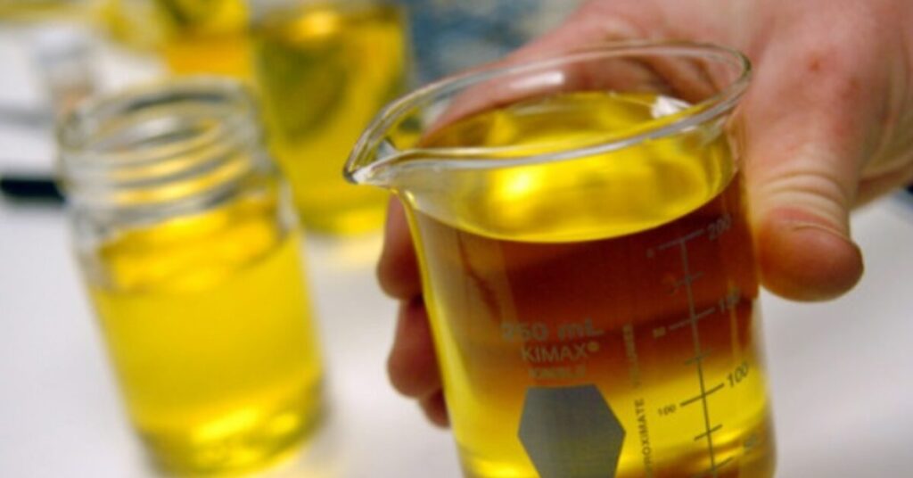 e questao do mme portal dbo