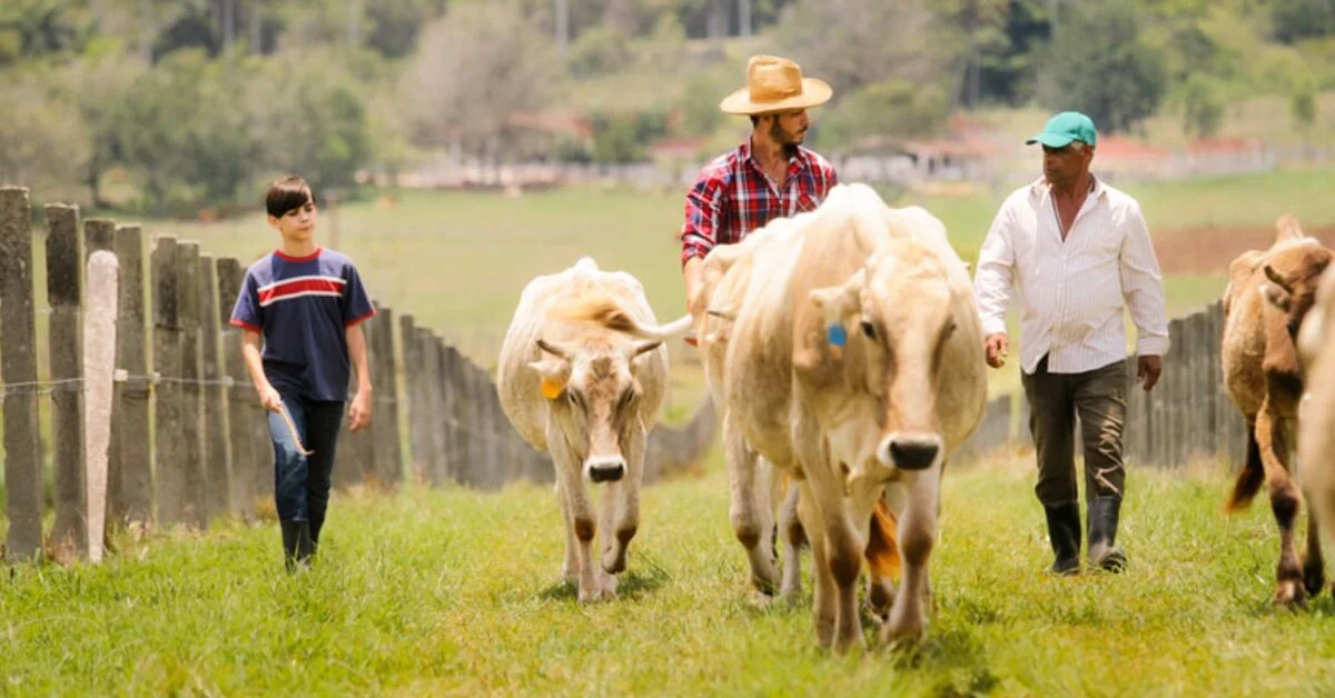 Em Mato Grosso, ministro discute políticas públicas de produção sustentável • Portal DBO