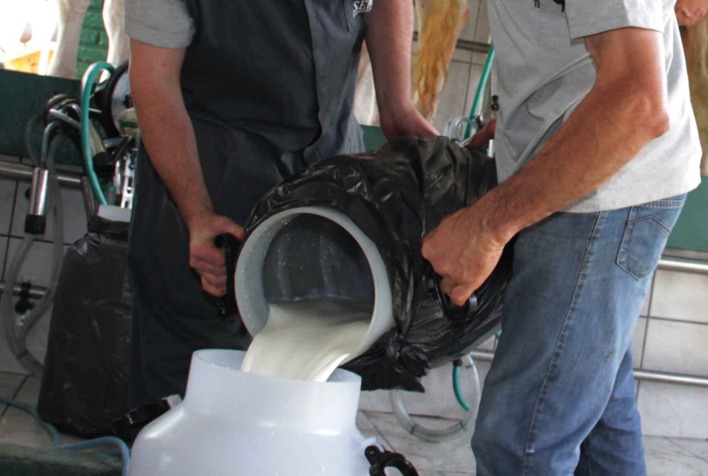 em mg produtor recebeu 811 a menos pelo leite em dezembro