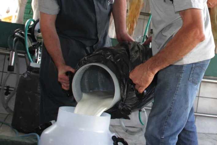 Em MG produtor recebeu 8,11% a menos pelo leite em dezembro 10 em mg produtor recebeu 811 a menos pelo leite em dezembro