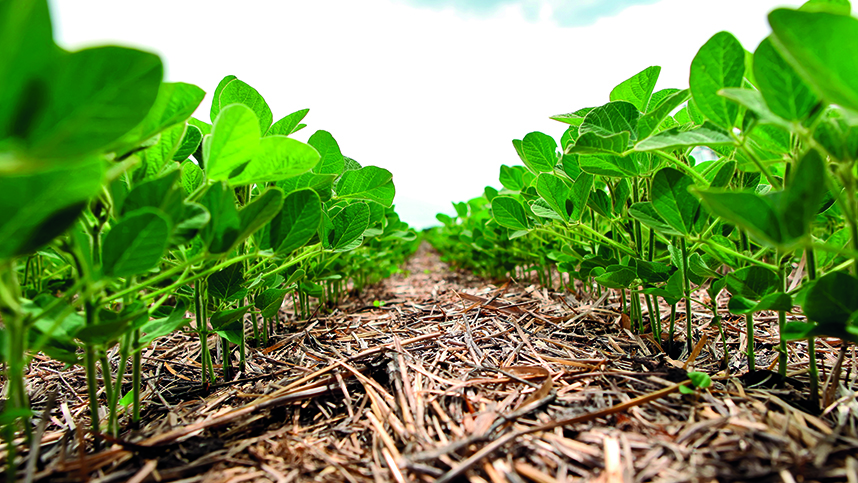 embrapa soja lanca curso on line sobre metodologia dres 1