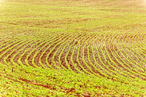 embrapa soja lanca serie na internet sobre eixos de atuacao da pesquisa