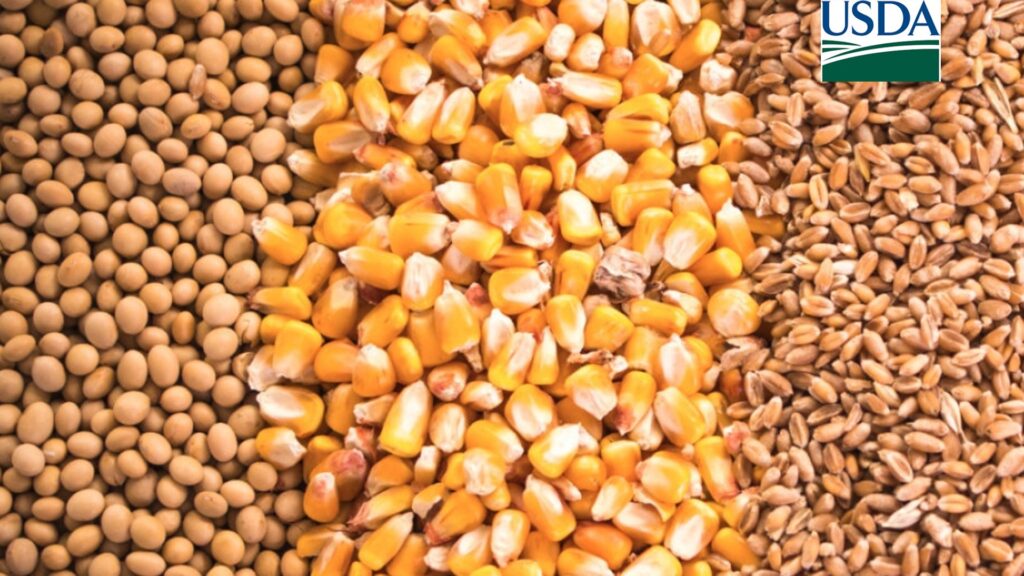 estoques trimestrais divulgados pelo usda ficam abaixo do esperado para 1