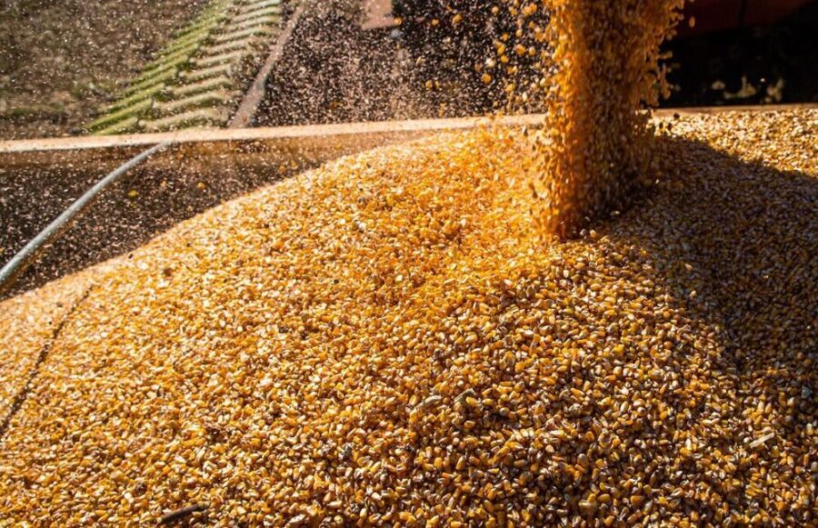 exportacoes de milho em dezembro alcancam maior nivel para o mes na serie historica 3