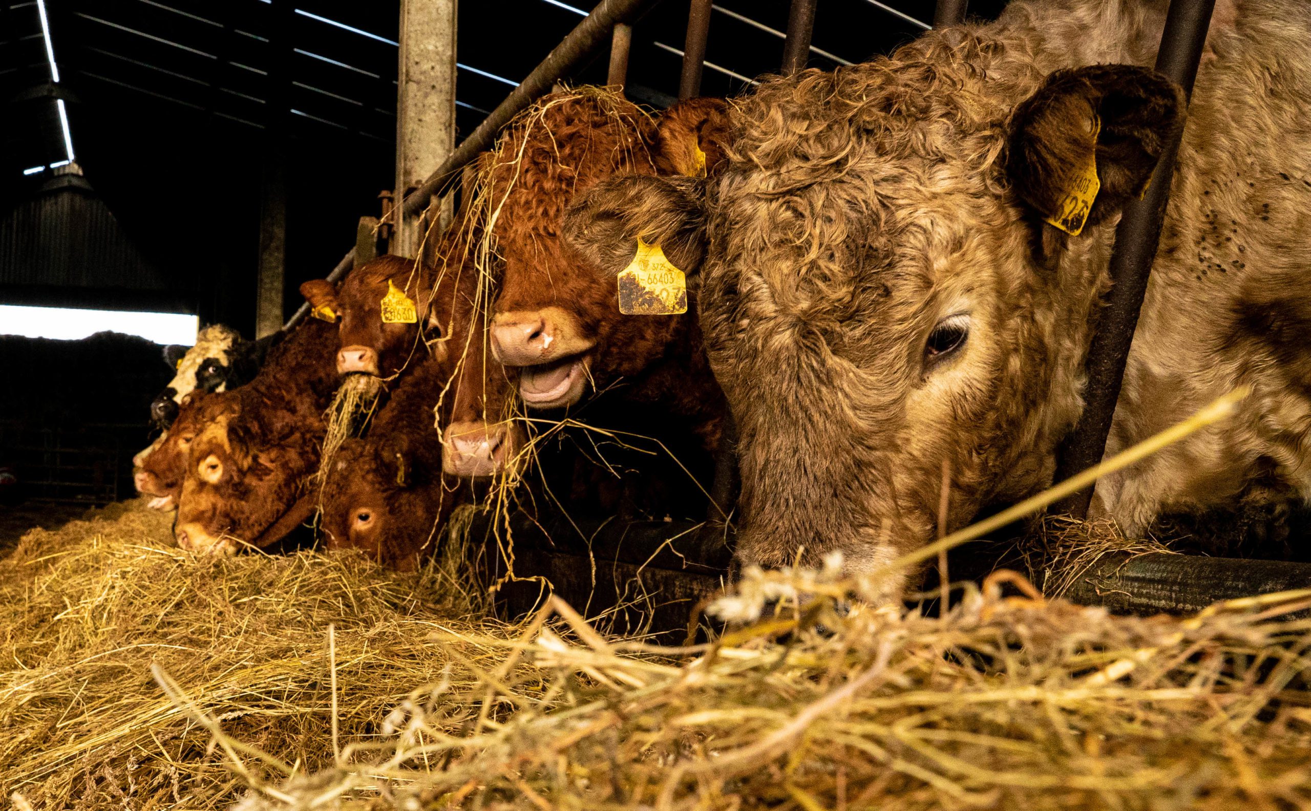 factories must recognise breakeven price for finishers 1