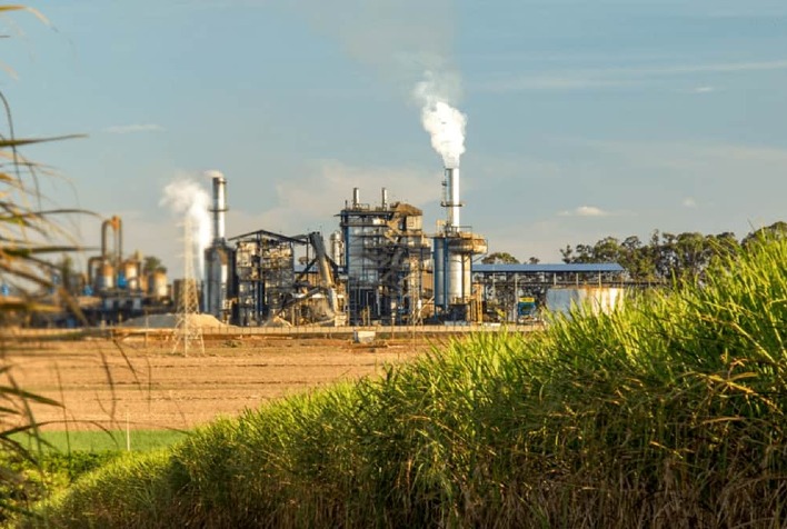 faesp maior do pais producao paulista de cana de acucar e estimada em 308 milhoes de toneladas com alta de 32