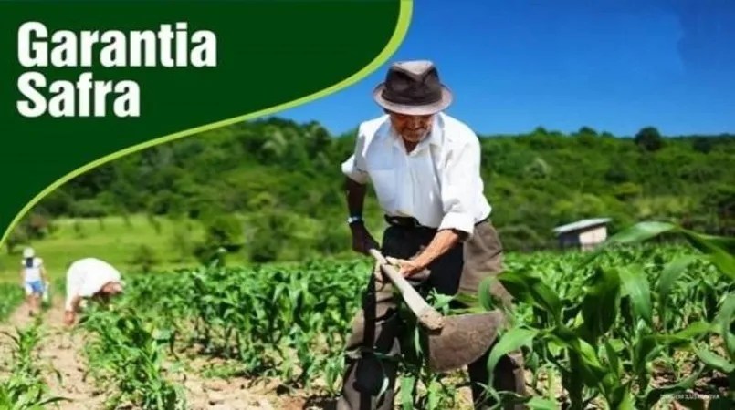 Garantia-Safra: Autorizado pagamento para mais de 408 mil agricultores familiares