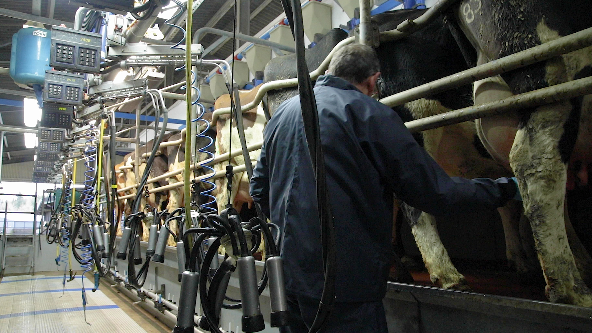 improving the effectiveness of your milking routine 1