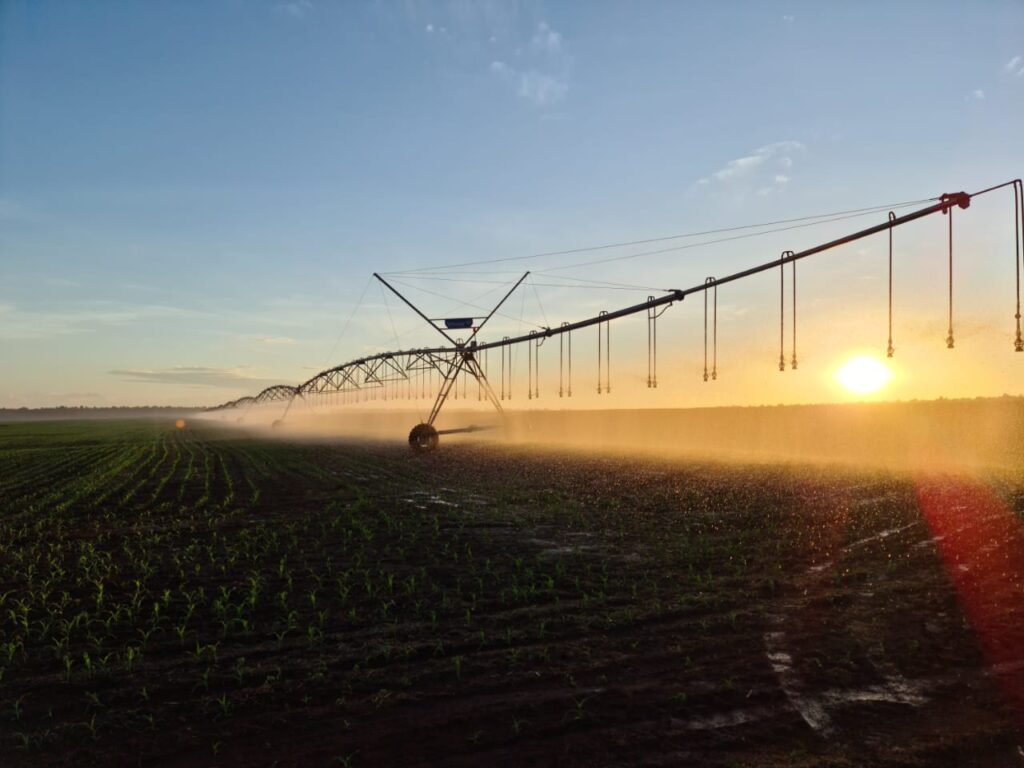 mapa secretaria ganha novas atribuicoes cooperativismo e reforco da 1