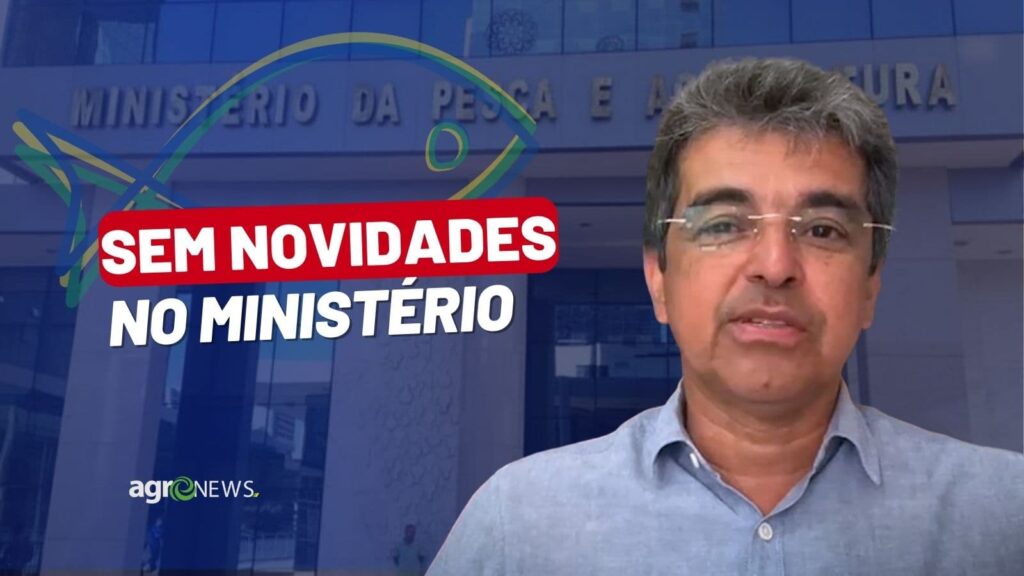 mercado do peixe 14 de janeiro 2023 ministerio ainda sem novidades