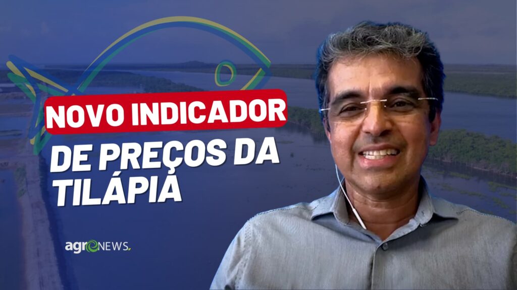 Mercado do Peixe 28 de janeiro 2023, novo indicador de tilápia em MG