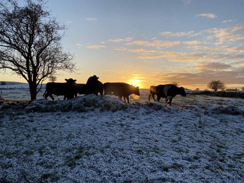 met eireann issues status yellow weather warning 1