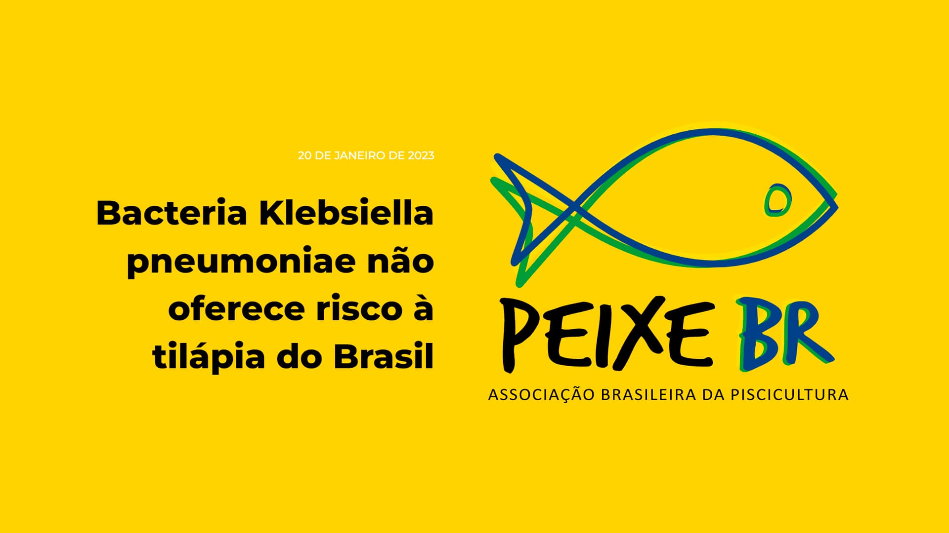 peixe br emite nota oficial em relacao a superbacteria 1