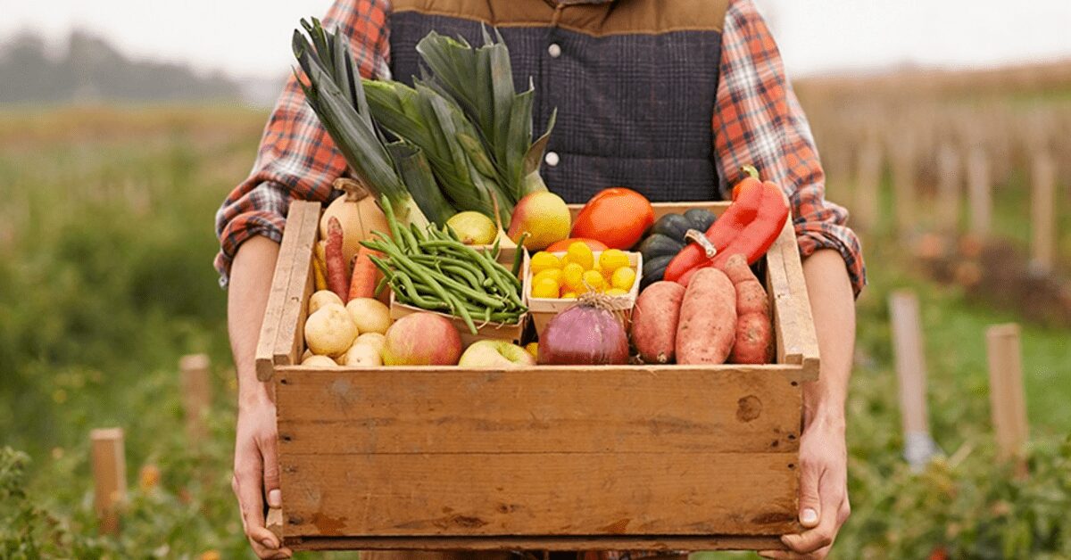 preco recebido pela agropecuaria paulista sobe 663 em 2022 portal dbo