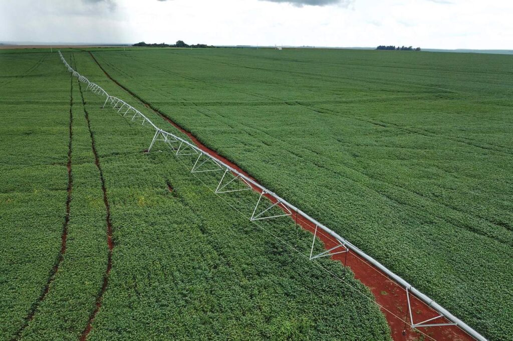 safra de verao deve alcancar 247 milhoes de toneladas no parana