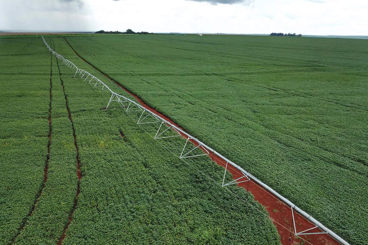 safra de verao deve alcancar 247 milhoes de toneladas no parana