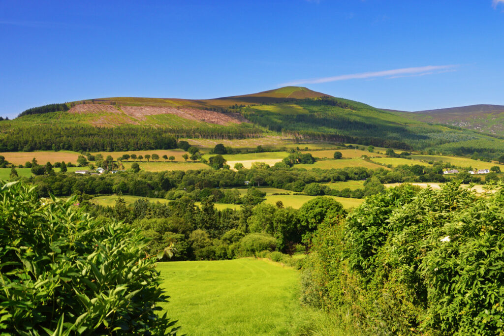 td accuses government of betrayal 1