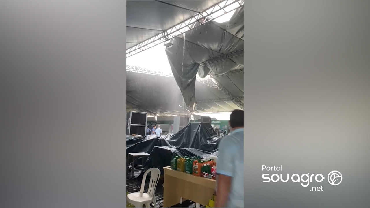 temporal causa estragos na regiao oeste do parana 1