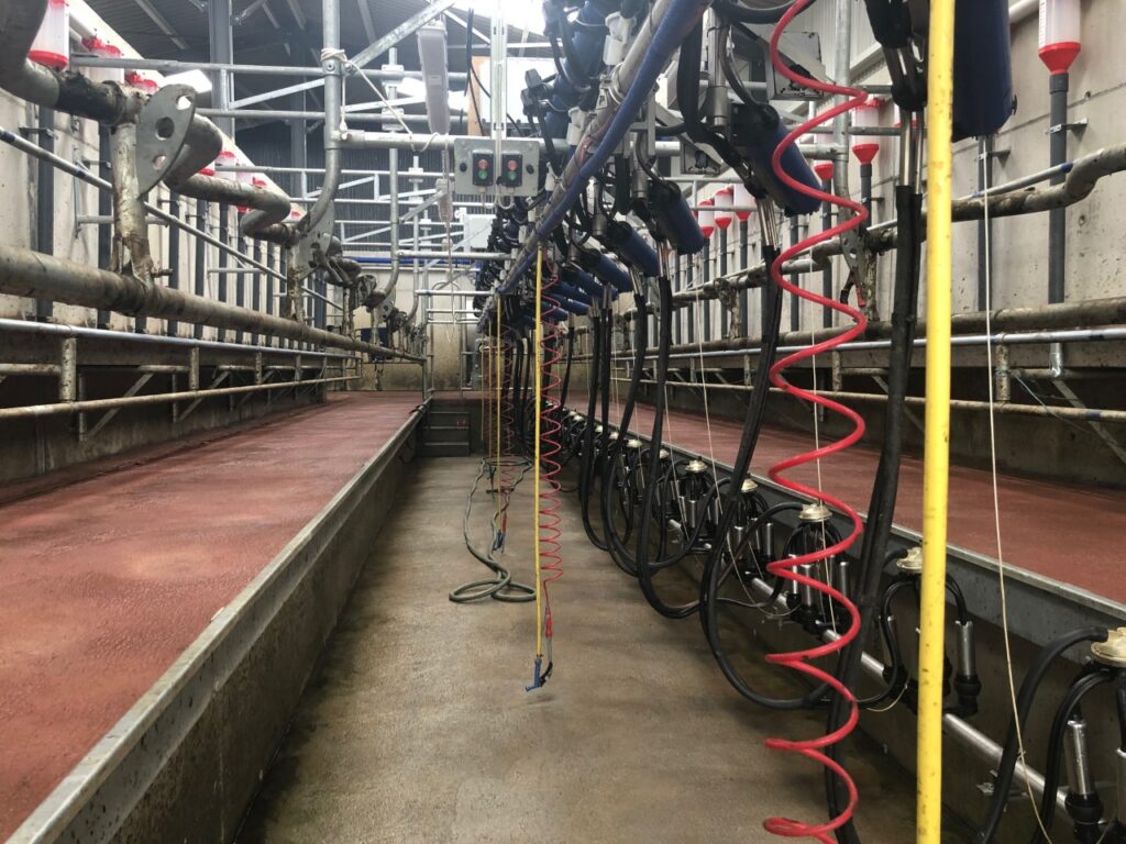 tirlan confirms 4c l bonus for december and 1c l on all 2022 milk