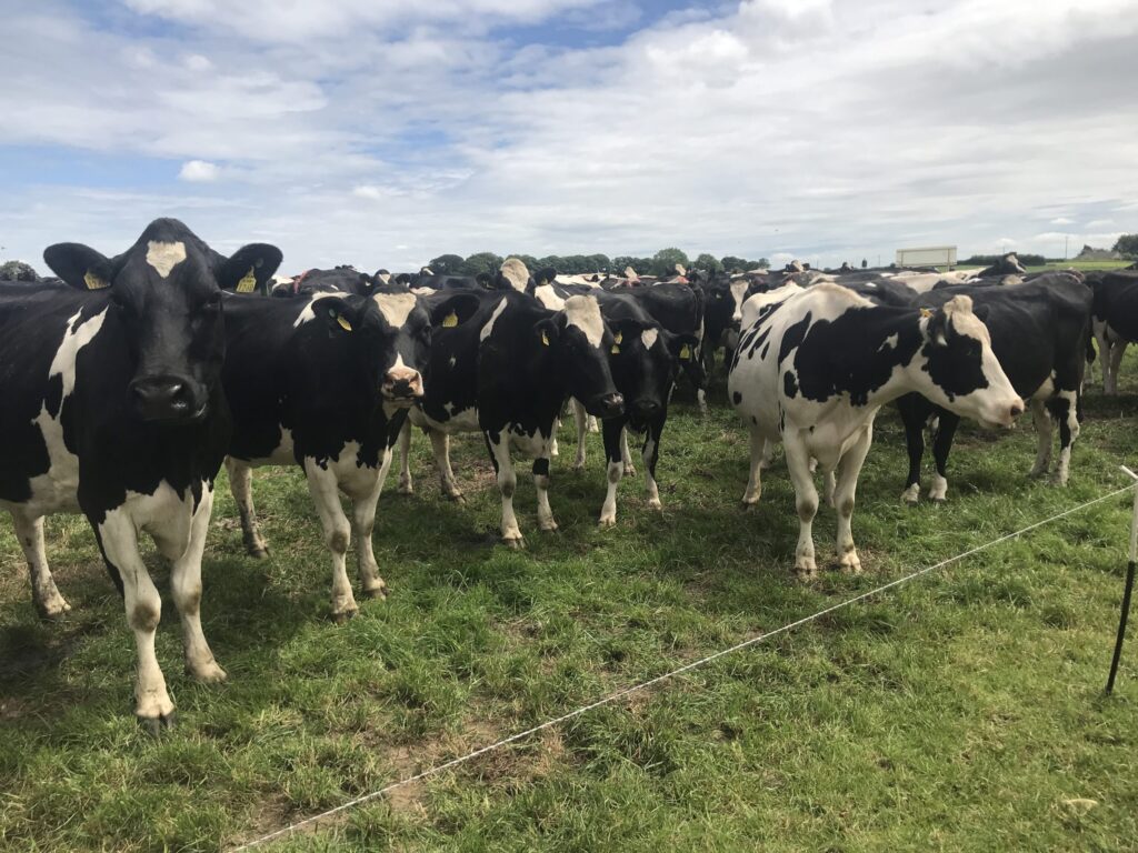 uk government policy is to produce more milk 1