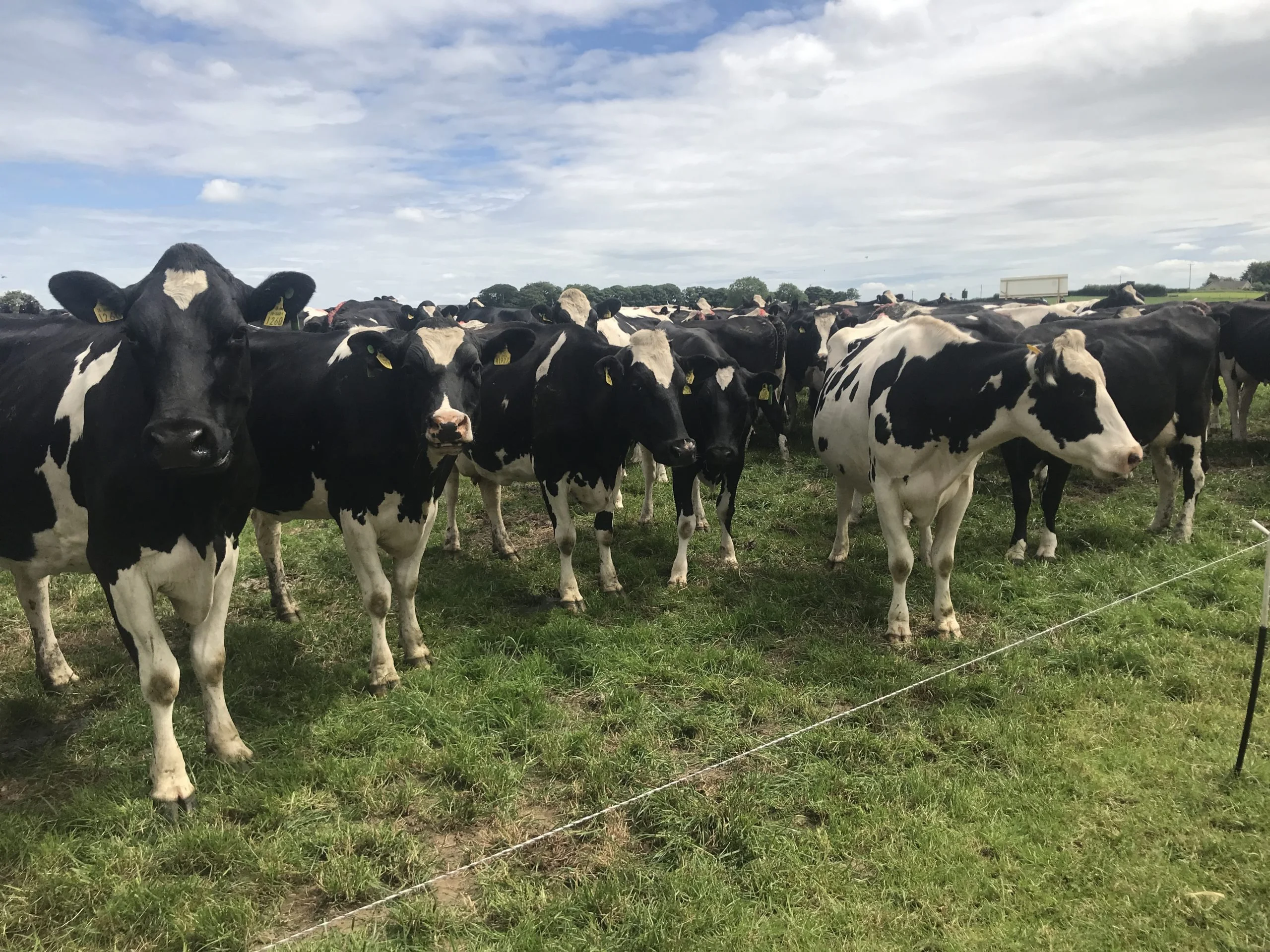 uk government policy is to produce more milk 1