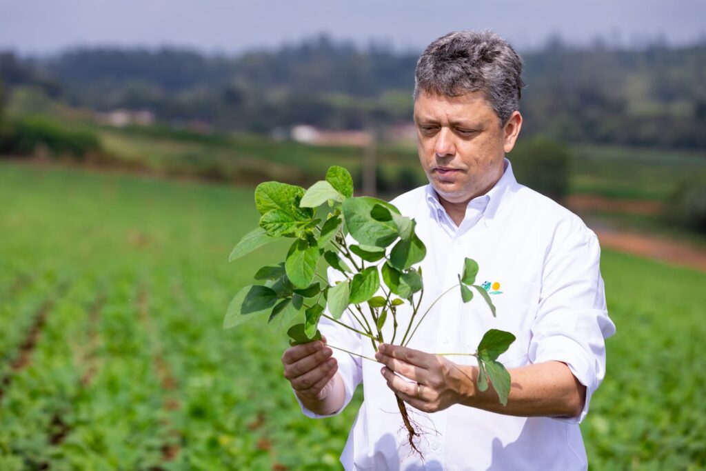 uso de biofertilizante ganha destaque