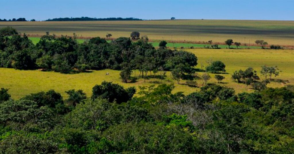 atualização cadastral, rebanhos, campanha de atualização, agricultura, Paraná, atualização cadastral de rebanhos, como atualizar rebanho, atualizar rebanho no Paraná, importância da atualização cadastral, atualização cadastral de rebanhos no Paraná