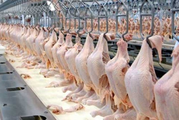 Lider mundial no mercado de frango halal Brasil amplia acao