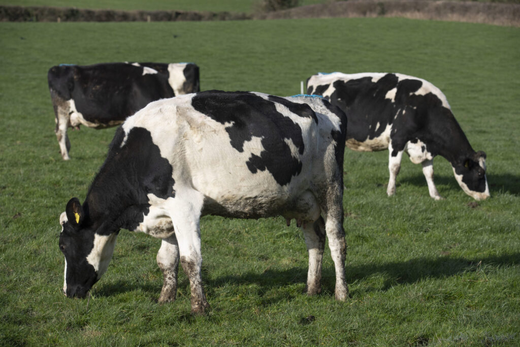 Agriculture revealed as NI's largest source of emissions 2 agriculture revealed as nis largest source of emissions 1