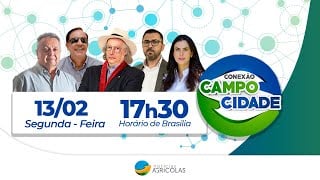 agronegocio brasileiro esta inserido nas cadeias de producao nacionais e 1