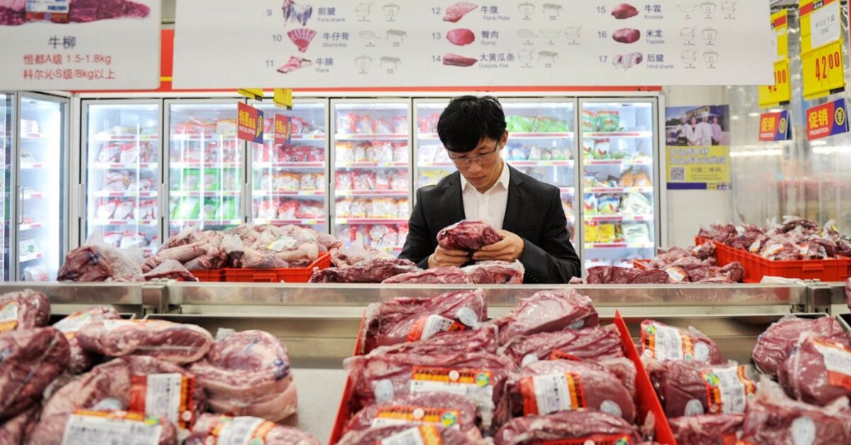 anuario dbo china continua sendo o principal destino da carne bovina brasileira portal dbo