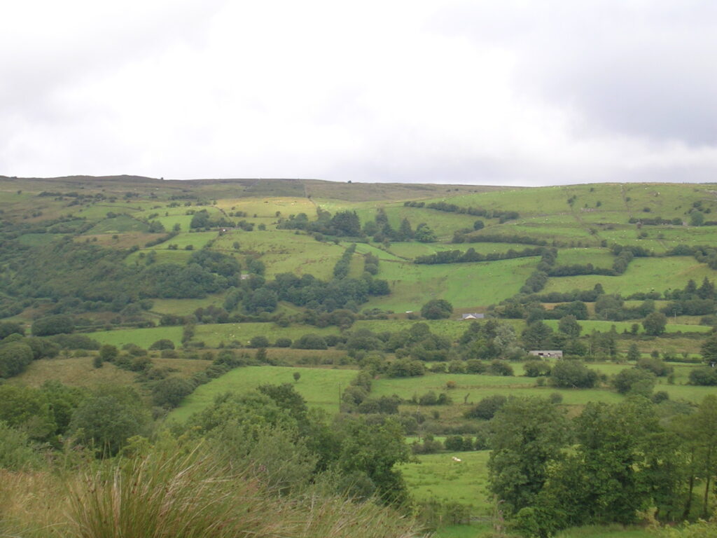 biodiversity officers to be appointed to 11 local authorities 1