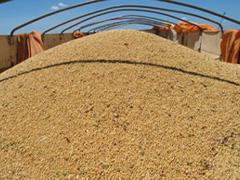 brado quer elevar em 20 movimentacao de farelo de soja por conteiner em 2023