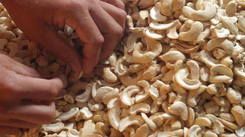 brasil tem potencial para elevar exportacoes de castanhas para asia diz cna